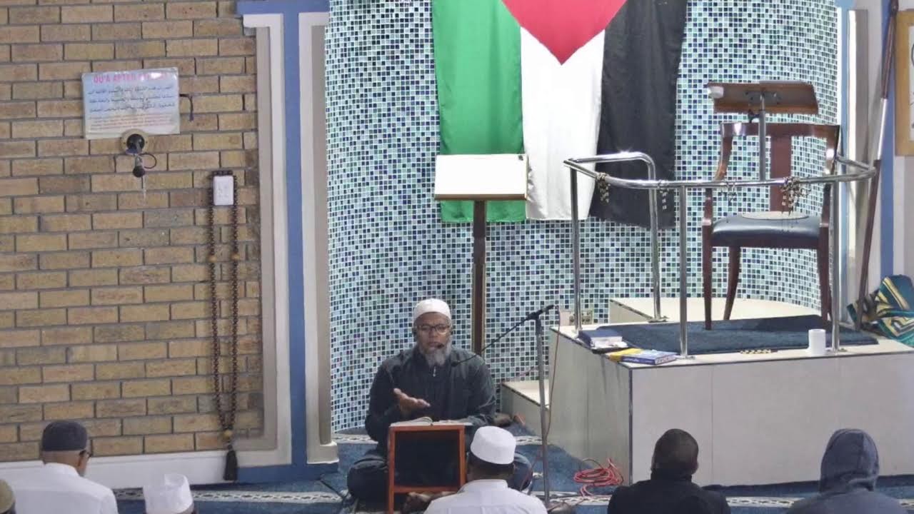 Live Stream