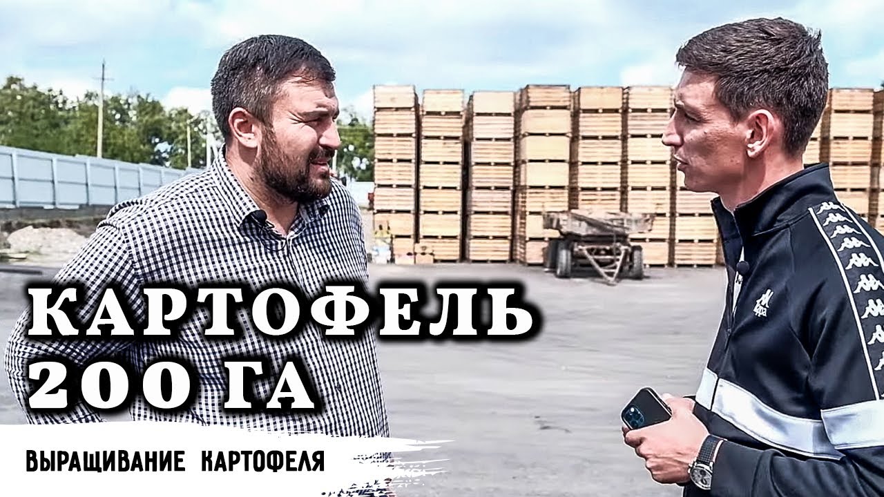 Картофель // Как вырасти с 2 до 200 гектар и производить супер-элиту