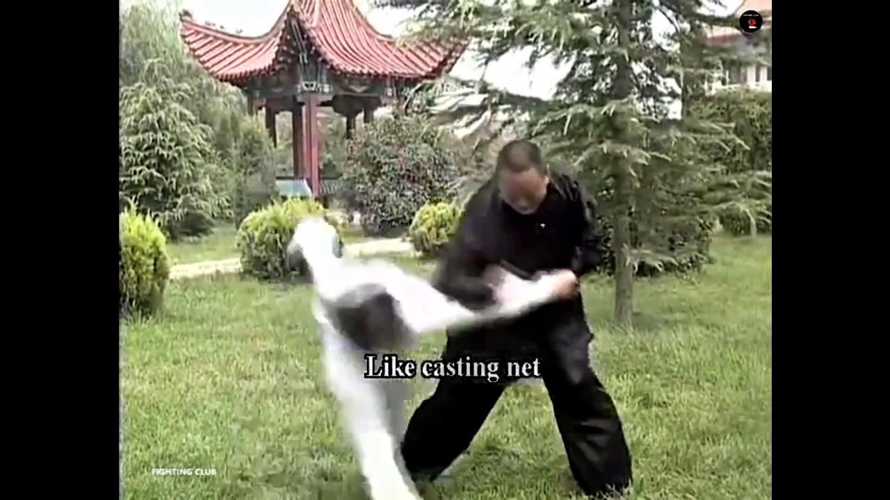 Martial Arts 10 Top Capture Techniques