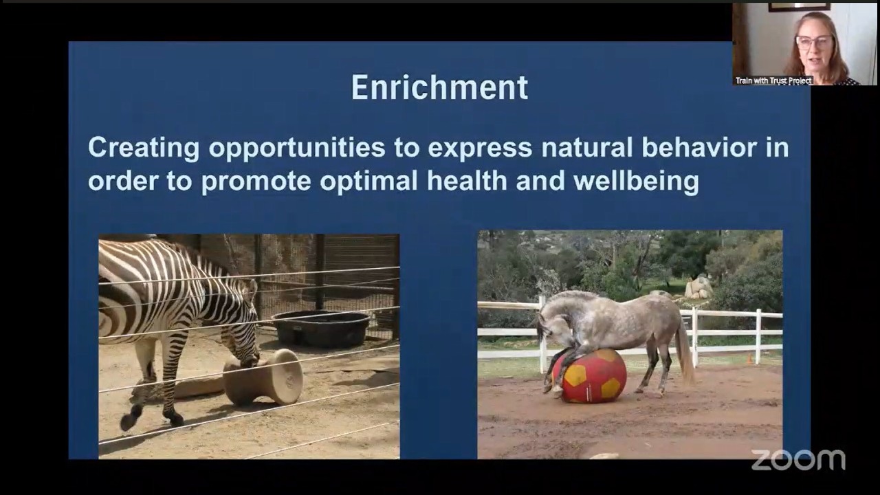 Live with Dr. Sue Dyson: Equine Enrichment & the Mind-Body Connection