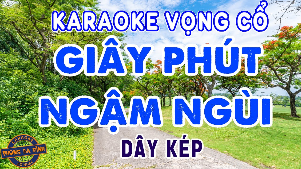 KARAOKE (vọng cổ) | GIÂY PHÚT NGẬM NGÙI | dây kép