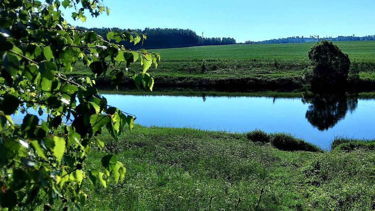 СЕЛО КАРИНСКОЕ УЧЕБНЫЙ ЦЕНТР ГОЛУБАЯ РЕЧКА РЕАБИЛИТАЦИОННЫЙ ЦЕНТР ОСФР  ОТЧЕТ О КОМАНДИРОВКЕ