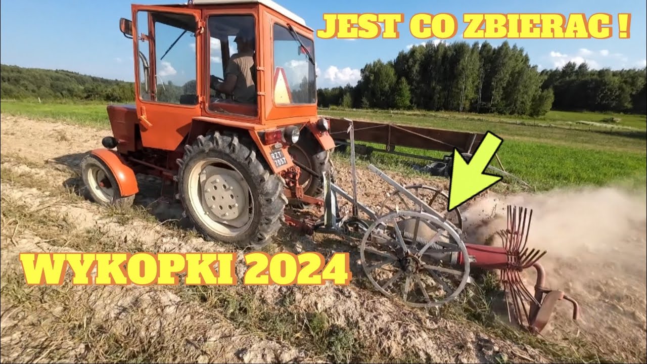 Ziemniaki Pięknie Sypały. Wykopki Traktorem T25 Kopaczka Konna. Dwie odmiany