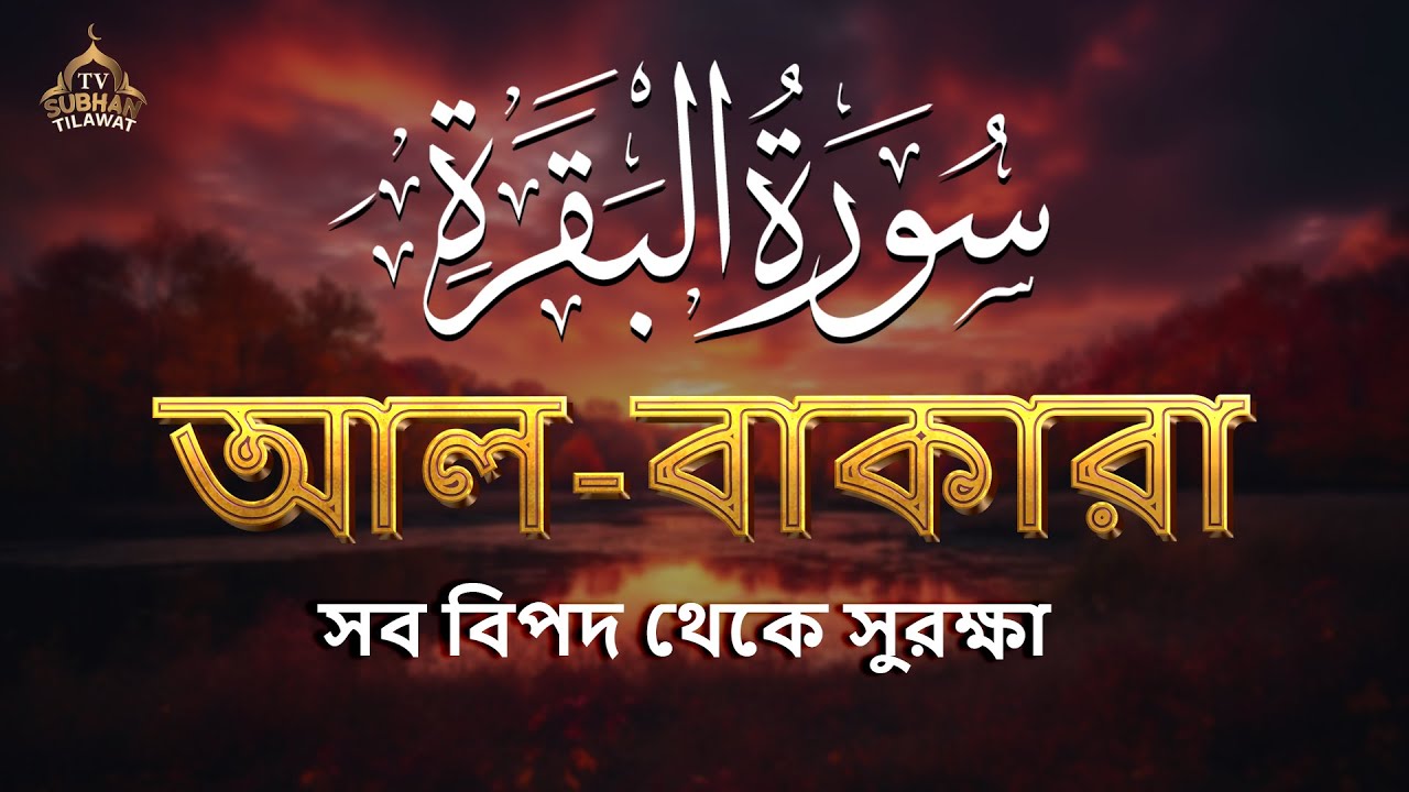 🌿 পৃথিবীর সবচেয়ে আবেগময় সুরা বাকারা তেলাওয়াত | Surah Al Baqarah (سورة البقرة) by Alaa Aqel 🎧