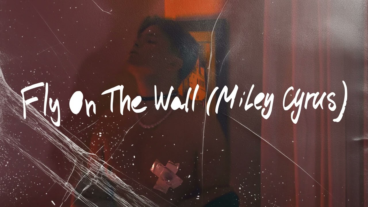 Fly On The Wall (Miley Cyrus cover)