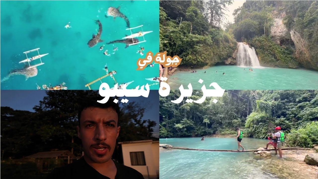 جربت السباحة في شلالات كاواسان وسبحت مع قروش عملاقة! Whale Shark! 