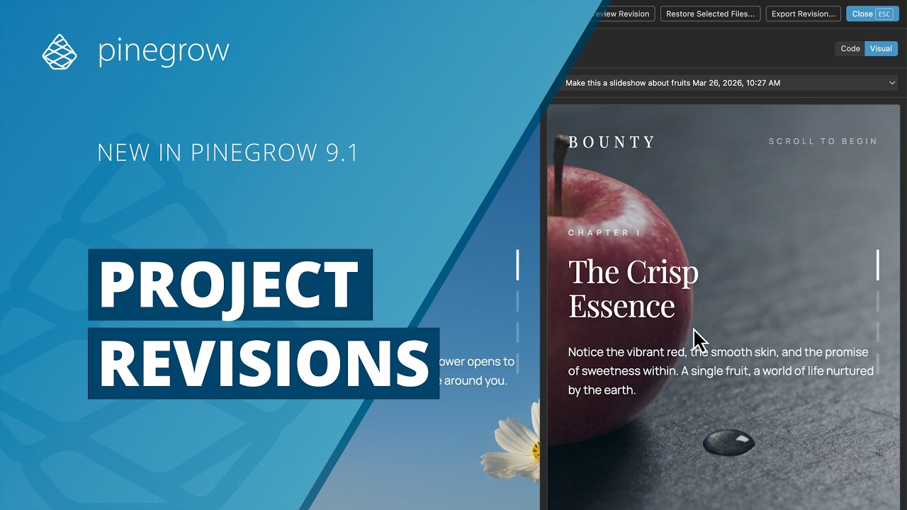 Rewizje projektu i migawki