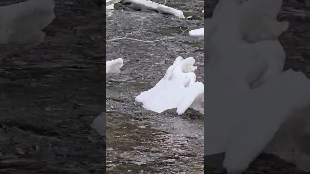 Badmittendorf 07 02 2026 