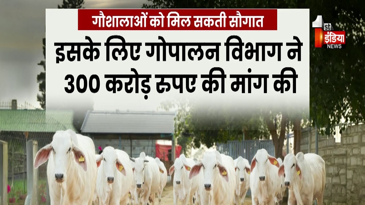 पशुपालकों को बजट से बड़ी राहत की उम्मीद, गौशालाओं के लिए सोलर प्लांट योजना प्रस्तावित | Exclusive