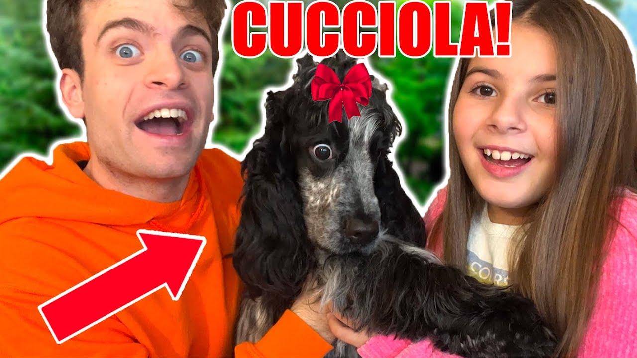 REGALO UN CANE A CLAUDIA!!