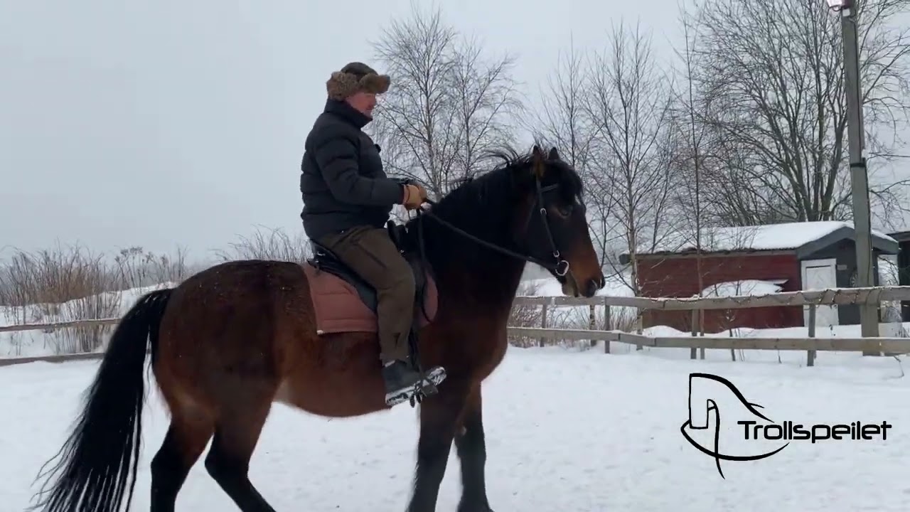 Pelle training Tarzan!