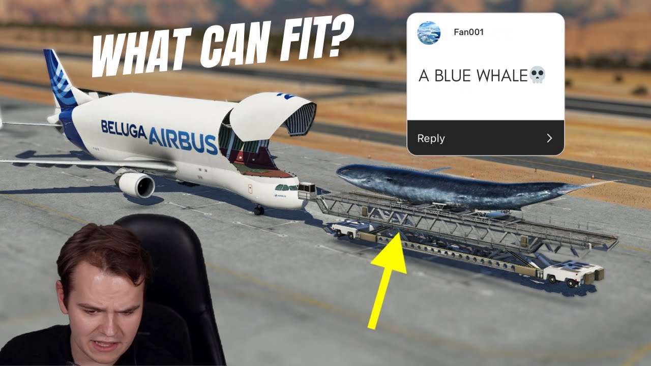 Asking my viewers what I should LOAD INTO THE BELUGA (bad idea)