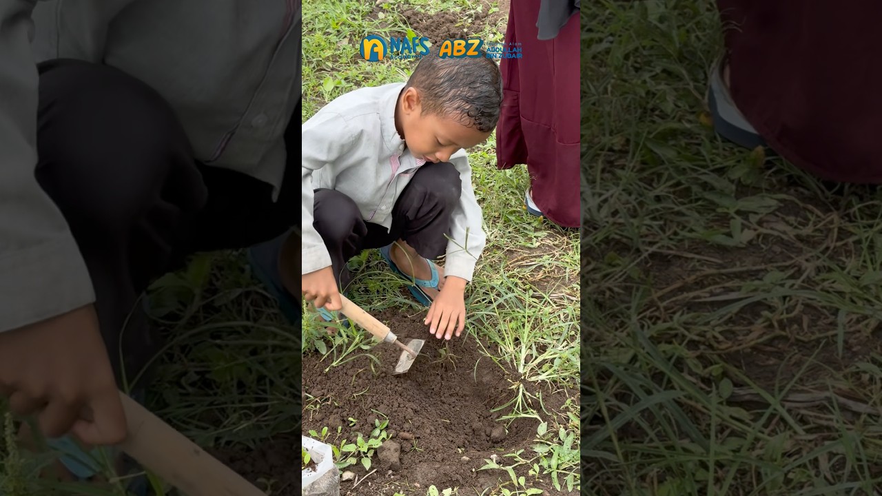 Belajar Merawat Tanaman: Serunya Berkebun di Salam ABZ 🌱🌿