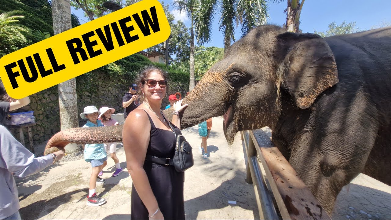 Bali Zoo Full Review & Tour. Close Encounters With Exotic Animals.