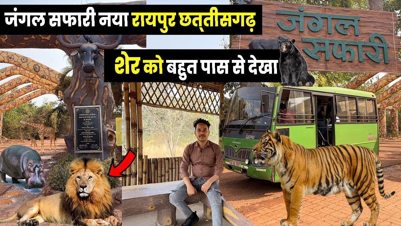 jungle safari raipur | jungle safari raipur chhattisgarh | jungle safari naya raipur | jungle safari