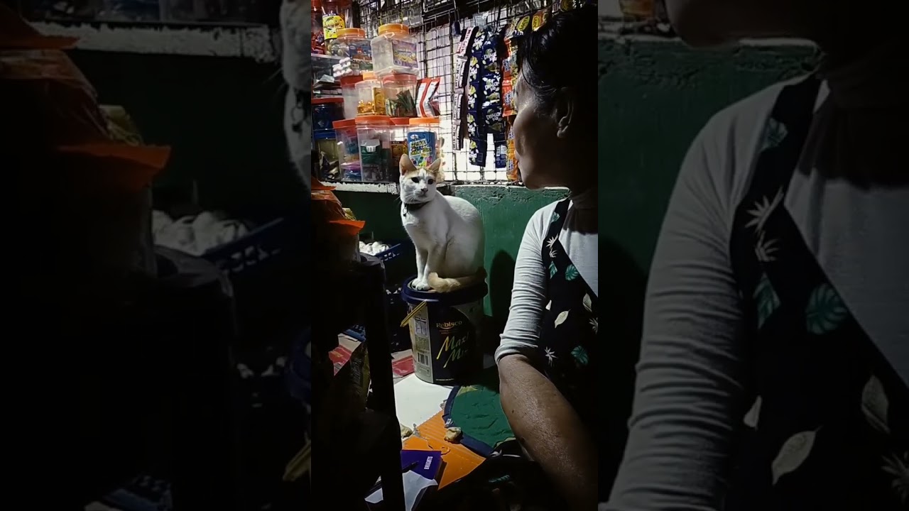 Kulit ni soro