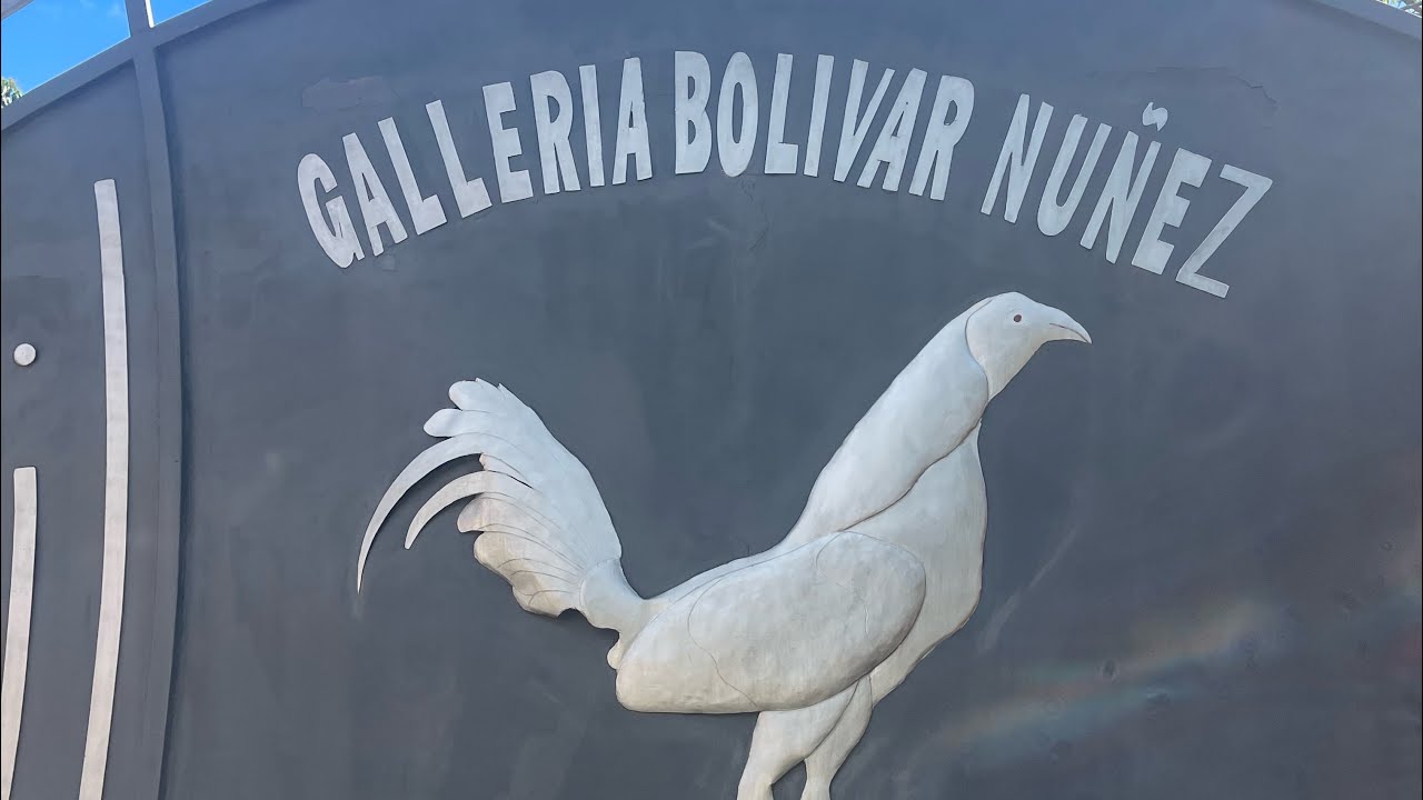 Desde las instalaciones de Bolivar Núñez  