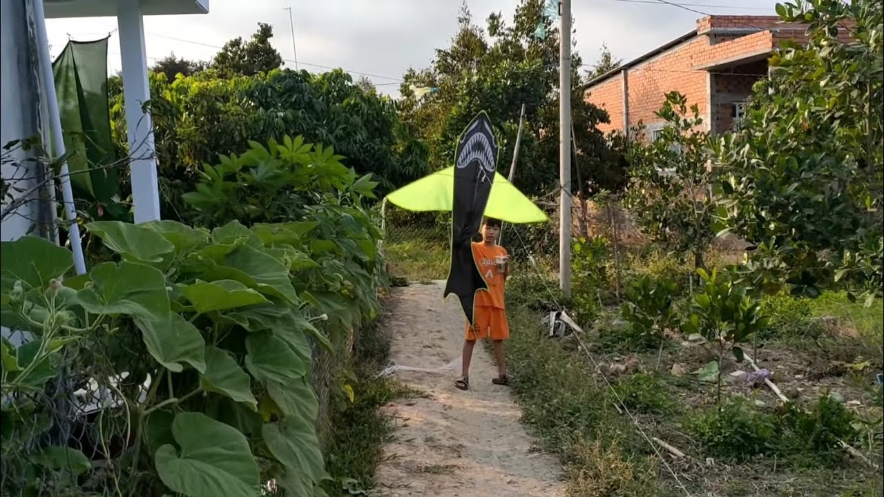 Chiều trời có gió tiếp tục rũ mấy đứa hàng xóm thả diều tiếp | kỹ niệm tuổi thơ | Fly A Kite .