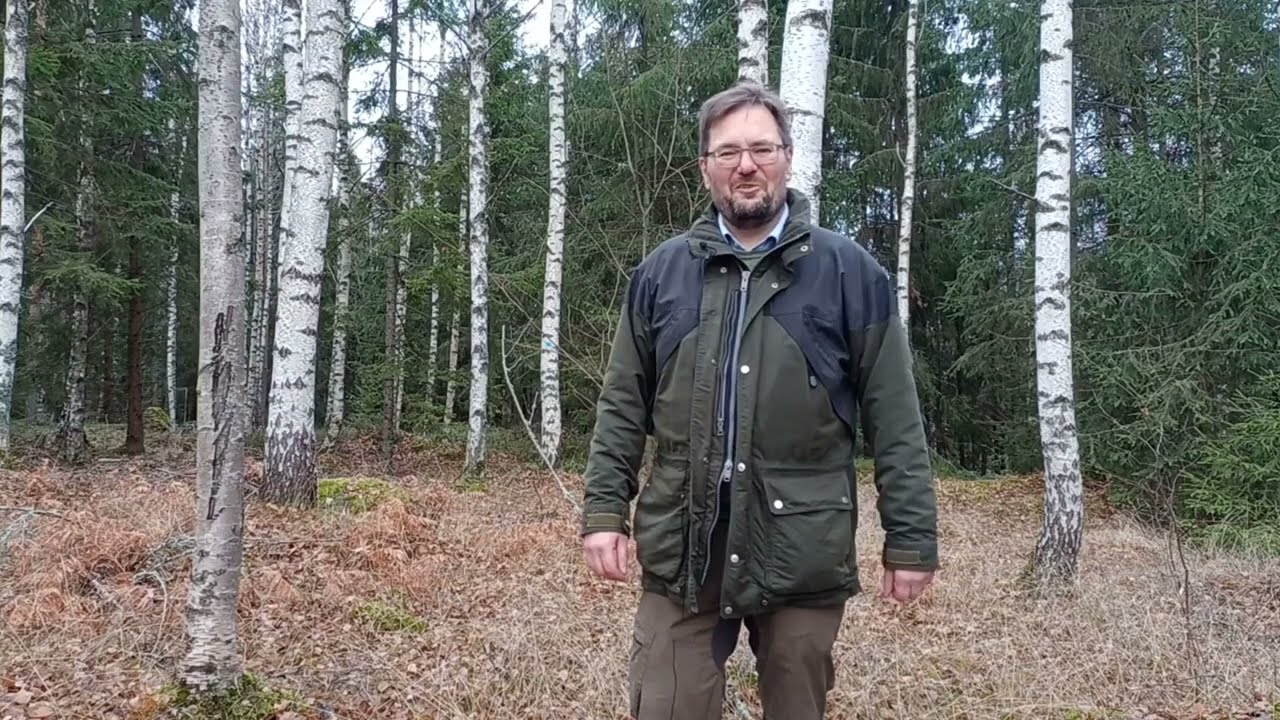 Odling av sprängticka på Västankvarn gård