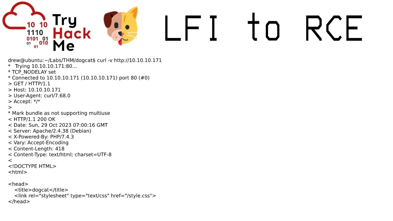 Exploiting a LFI Vulnerability to RCE: TryHackMe Dogcat Walkthrough