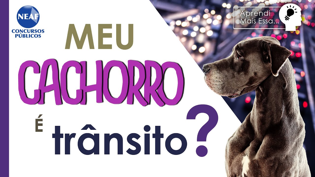 Concurso do DETRAN SP: CTB O m&iacute;nimo que voc&ecirc; precisa saber | Aprendi Mais Essa...