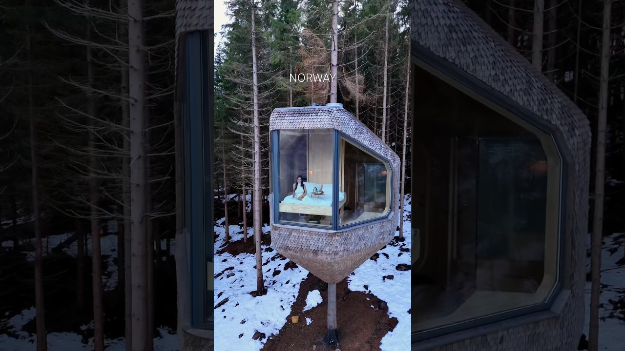 Most incredible tree house hotel 😱 #norway #treehouse #norge #honeymoon