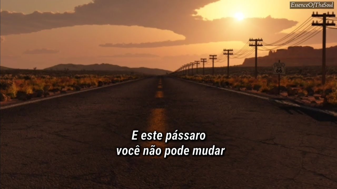 Lynyrd Skynyrd - Free Bird (Legendado)