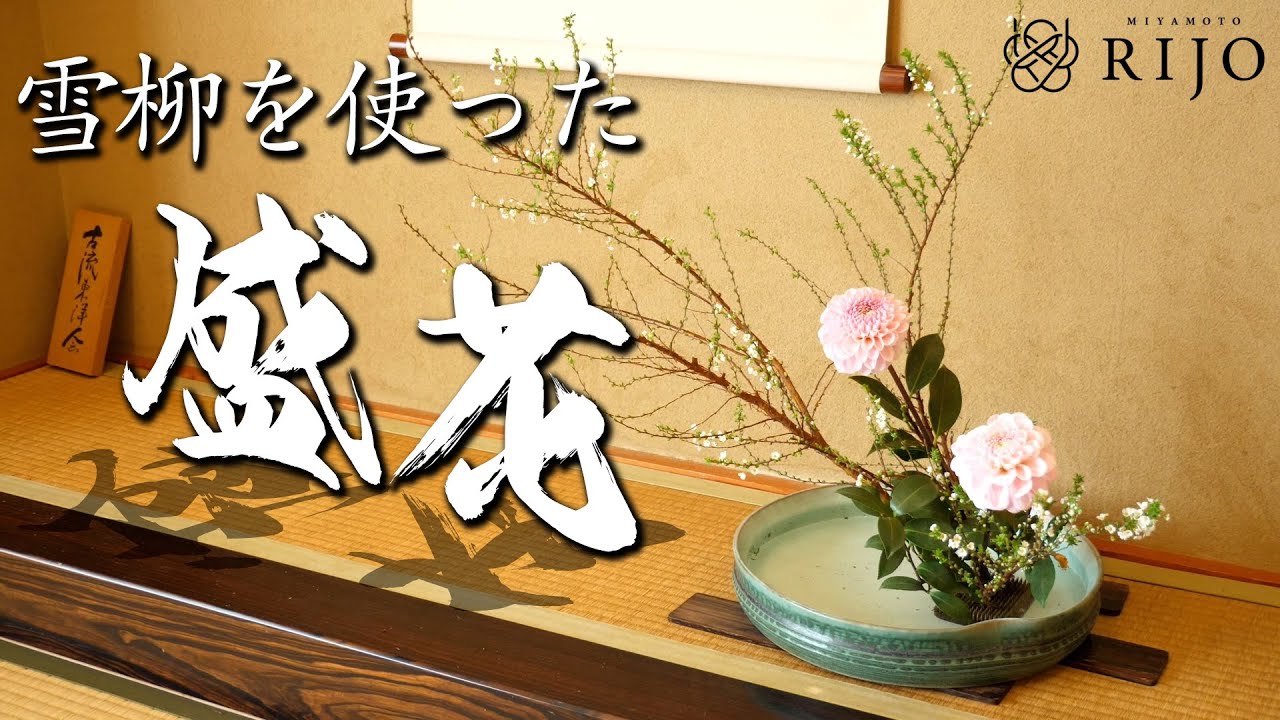 美しい曲線を作る 雪柳の生け花（盛花）をご紹介します！【Ikebana】生け花レッスン