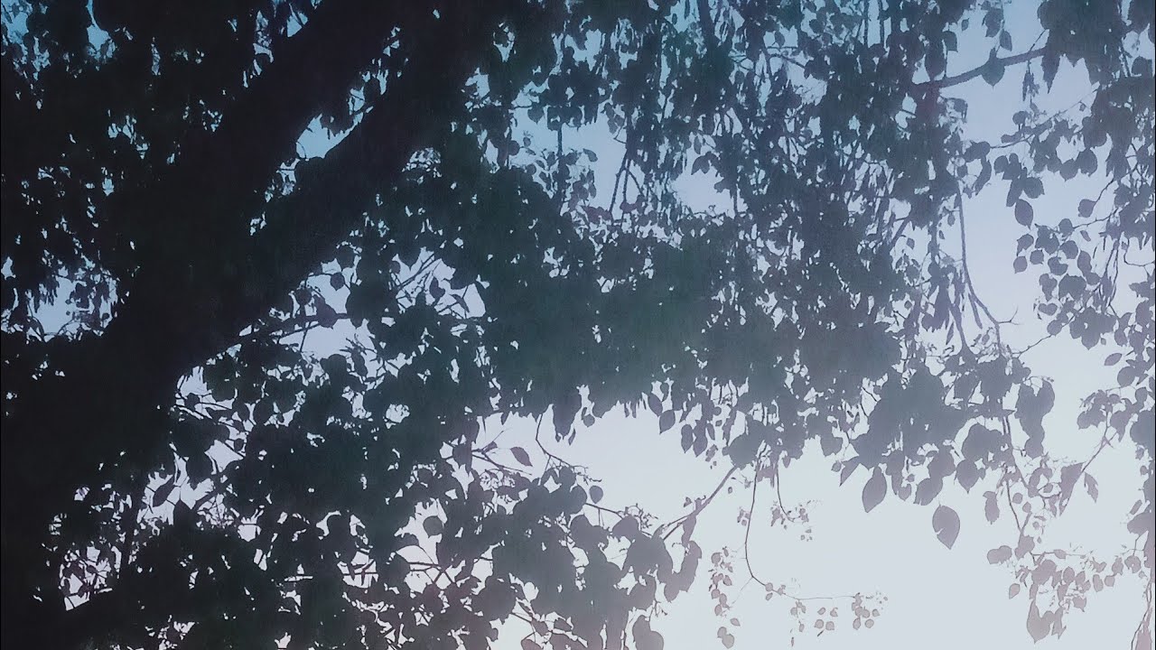 Neerav best bhakti  is live!,,,, good night,,,,,💕💕💕