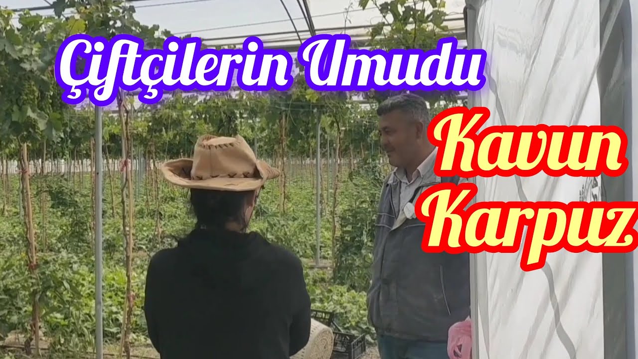 ÇİFTÇİLERİN  KAVUN KARPUZ  SEVDASI