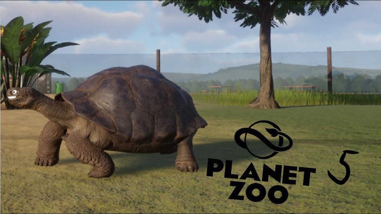 Wir retten die Schildkröten / Planet Zoo