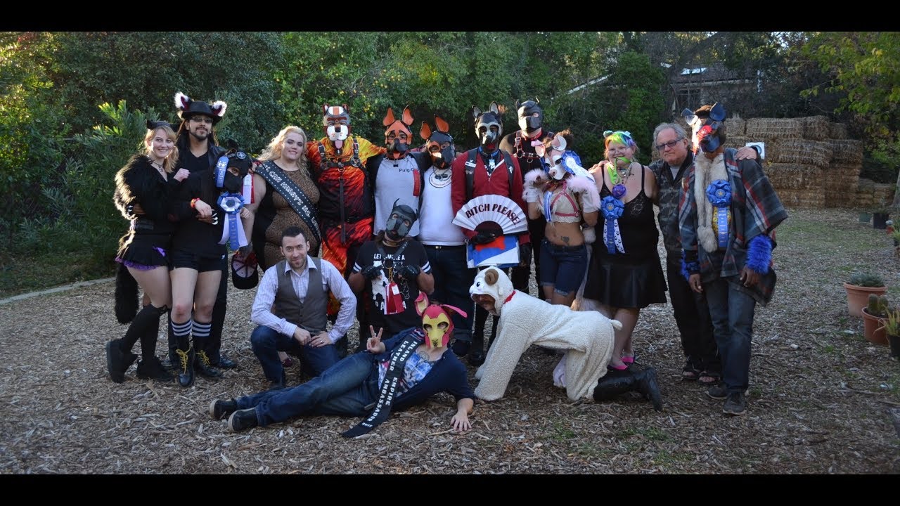 Puppy Palooza 2018