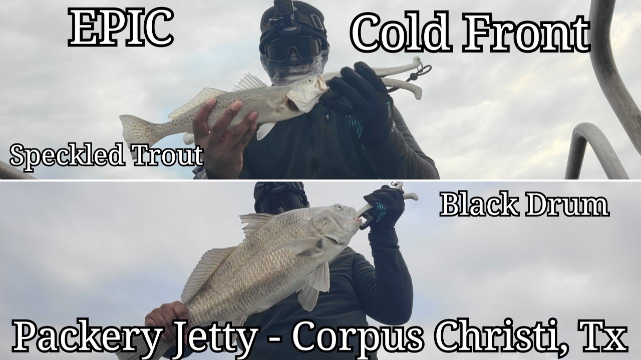 Packery Jetty Corpus Christi, TX - Epic Cold Front Speckled Trout and Black Drum