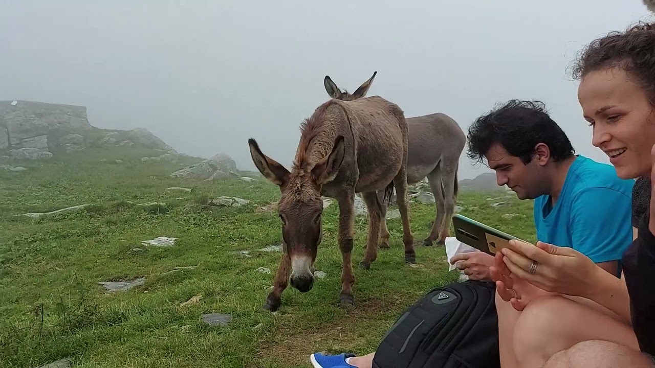 İtalya'da zorlu doğa y&uuml;r&uuml;y&uuml;ş&uuml; -  Baita Cernello Dağı