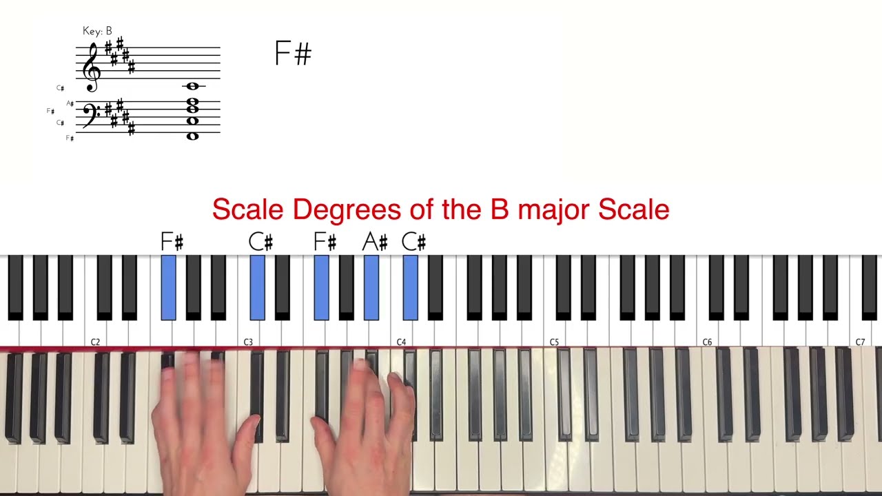 Emperor XIII in Shades Cameron Winter Piano Tutorial