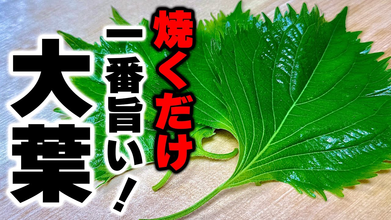 【材料2つだけ】今までやっていなかったことを後悔する程簡単で旨い！『大葉豚肉焼き』の作り方