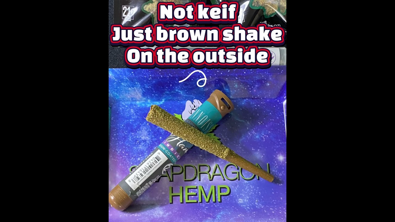 Snapdragon Hemp THCA: NOT Worth It? 🚨 A Strain Review You Don&rsquo;t wanna MISS! #cannabiscommunity