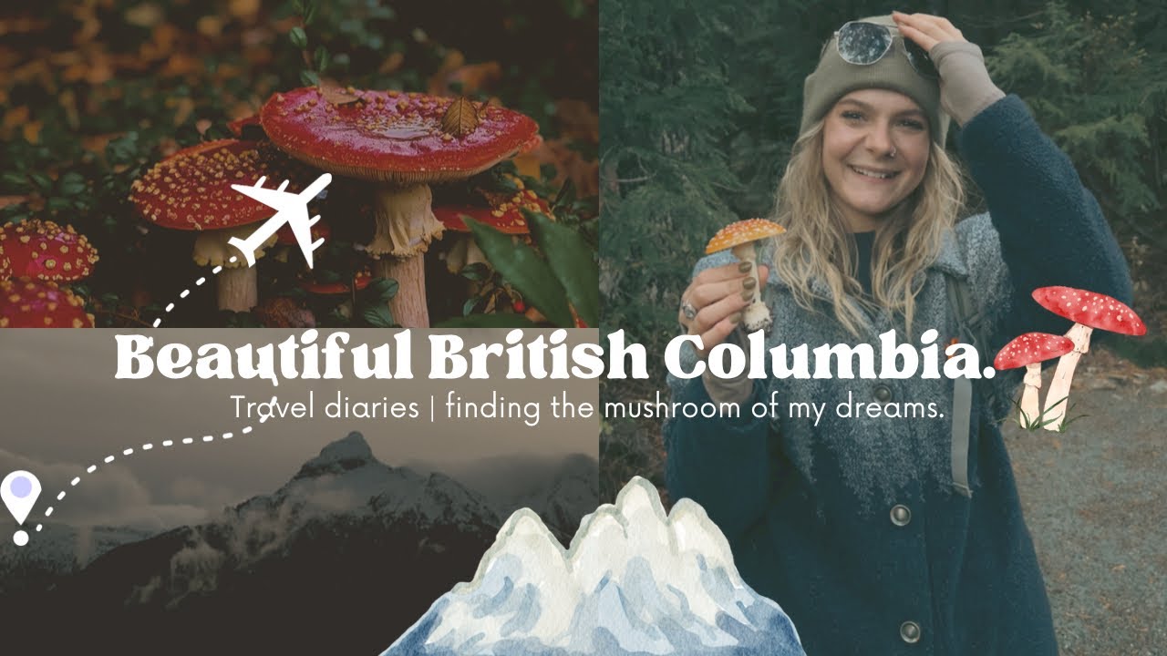 🍄I flew across the country to find the muhroom of my dreams | B.C travel diaries⛰️🌲