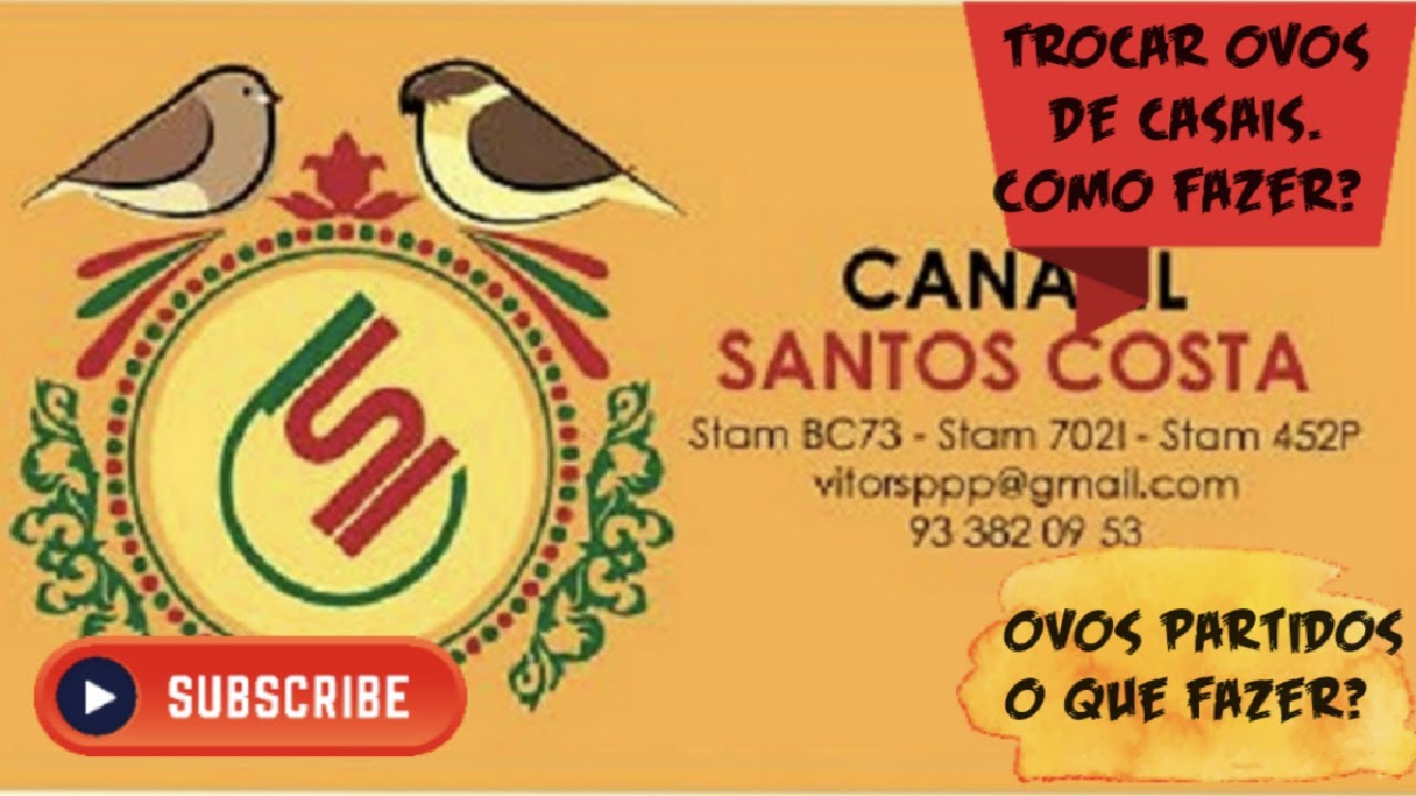 Como trocar ovos de casais? Ovos partidos são recuperáveis?