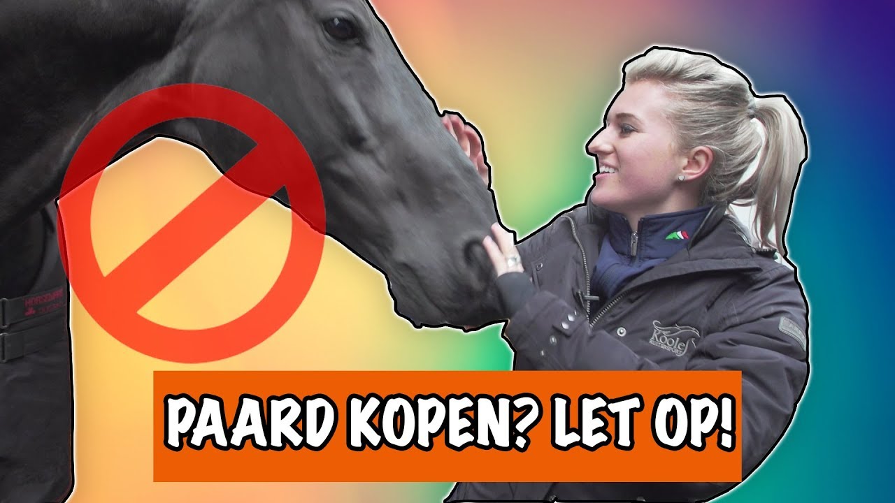 Waar moet je op letten als je een paard koopt? | PaardenpraatTV