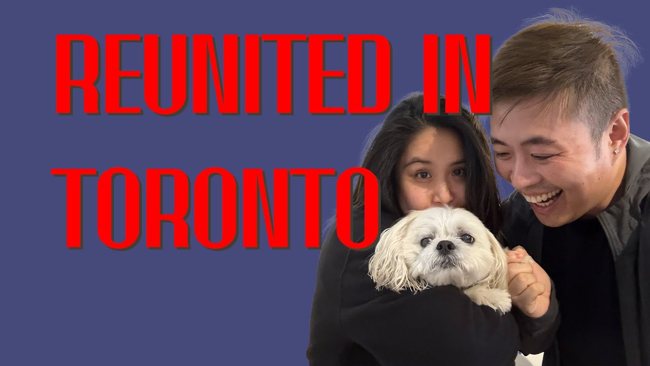 WE FINALLY REUNITED WITH OUR DOG in Toronto! (Tips on relocating your pet overseas)