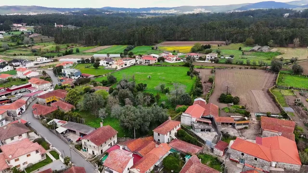 Terreno Gemeses 12700m2
