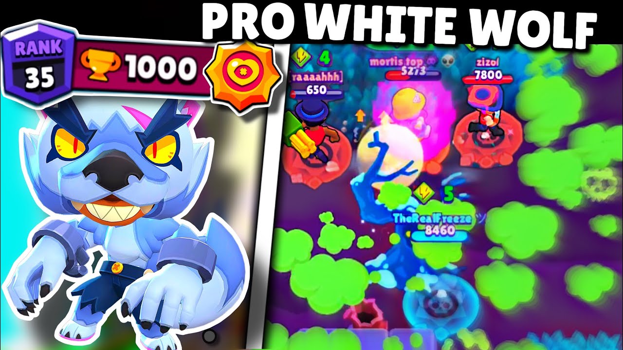 RANK 35 White Wolf Leon VS Solo Showdown 🐺⬜ (Pro Gameplay)
