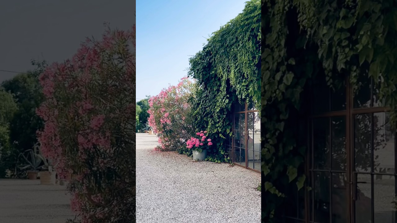 Agriturismo Verdenoce: Emilia- Romagna (Italy) Retreat