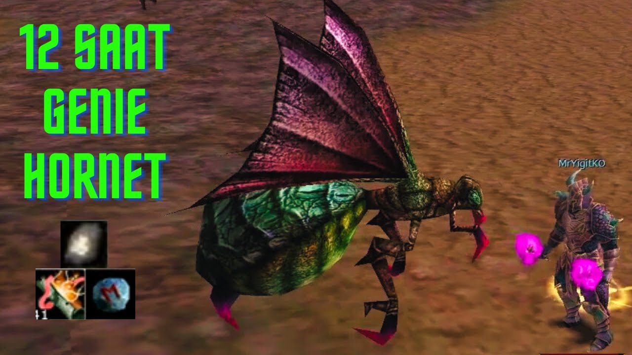 Bu Sefer Başardık | 12 Saat Hornet Farm | Knight Online Zero Farm | #knightonline