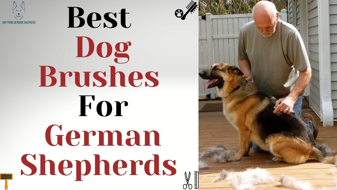 Best Dog Brushes For German Shepherds