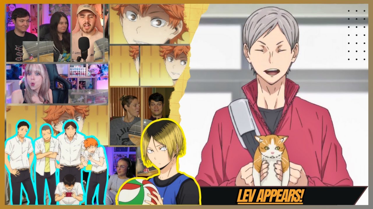 "LEV and the CATS?!" | Haikyuu! OVA 01 REACTION MASHUP