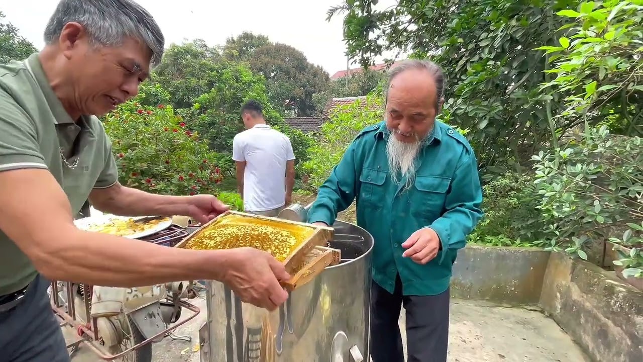Quy Trình Thu Hoạch Mật ONG Mùa Hoa