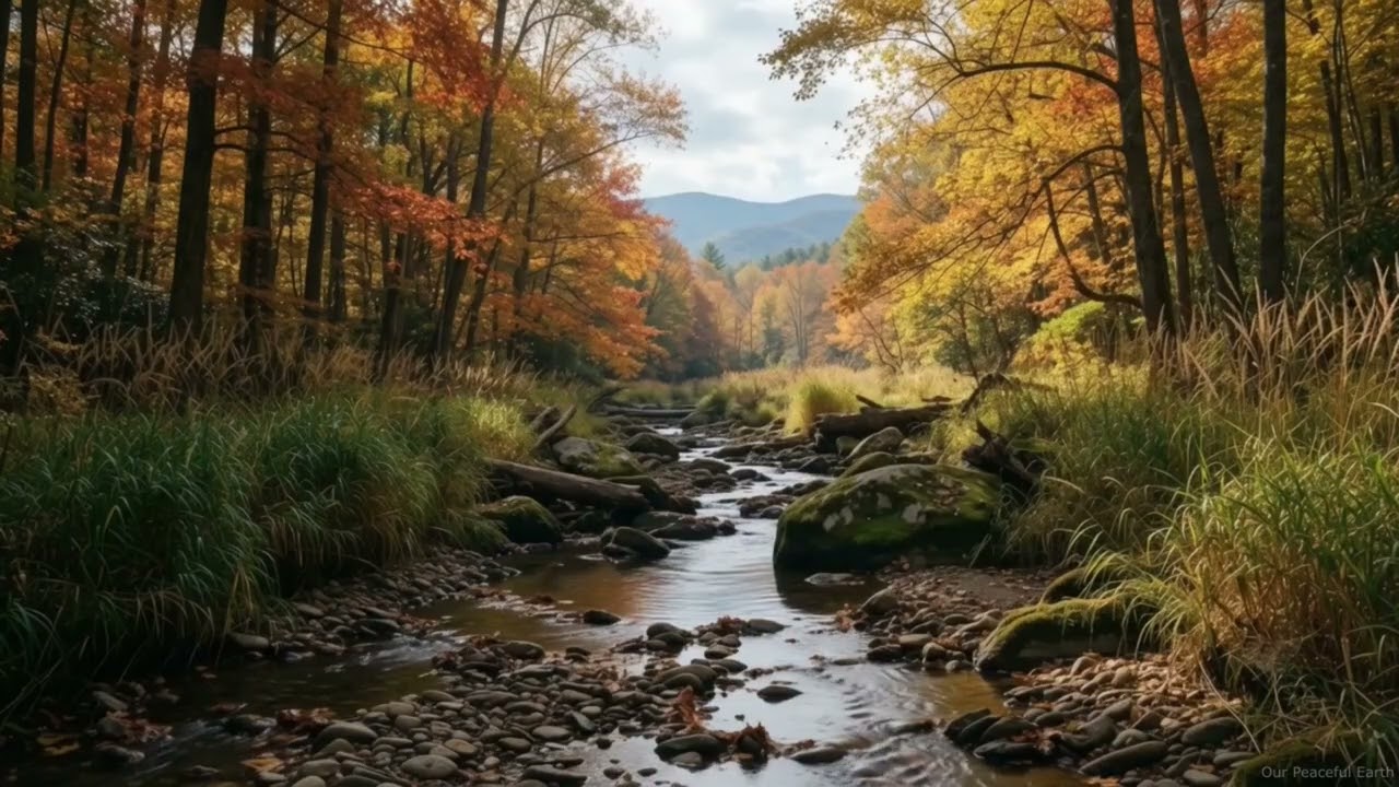 Appalachian Autumn Creek | 1 Hour Emotional Piano & Strings Instrumental