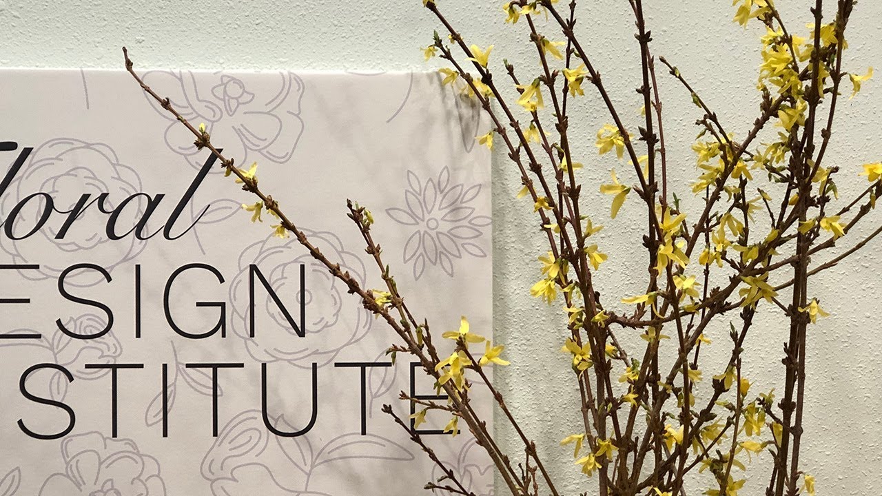 Forcing Spring Branches